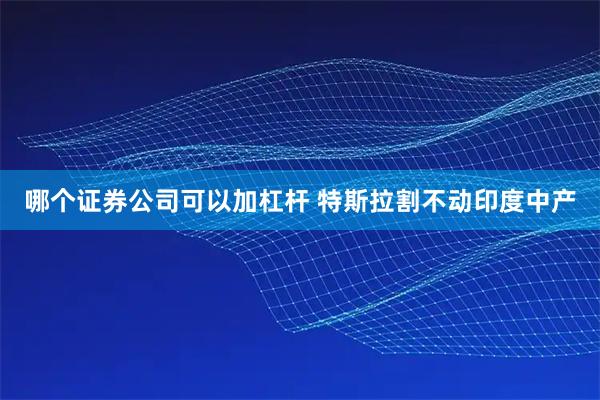 哪个证券公司可以加杠杆 特斯拉割不动印度中产