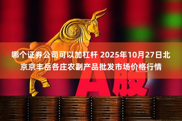 哪个证券公司可以加杠杆 2025年10月27日北京京丰岳各庄农副产品批发市场价格行情