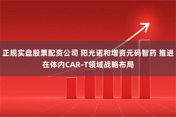 正规实盘股票配资公司 阳光诺和增资元码智药 推进在体内CAR-T领域战略布局