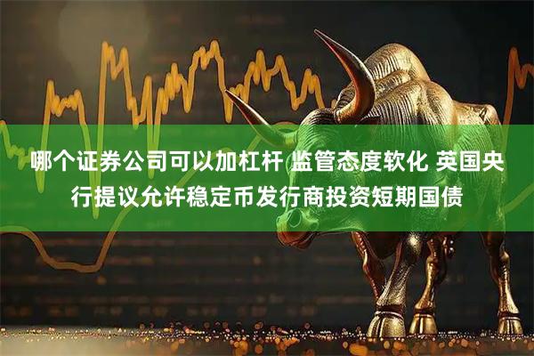哪个证券公司可以加杠杆 监管态度软化 英国央行提议允许稳定币发行商投资短期国债
