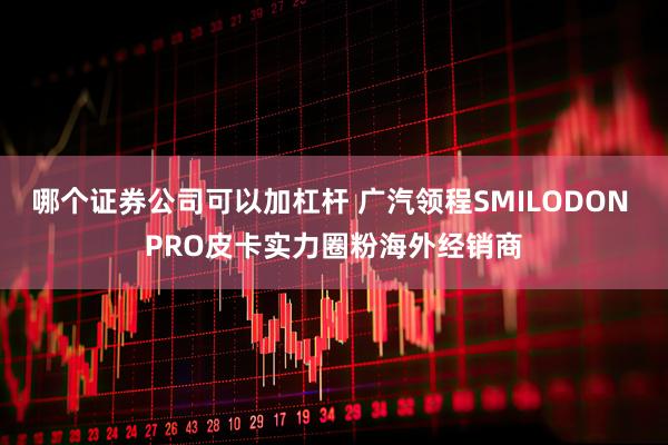 哪个证券公司可以加杠杆 广汽领程SMILODON PRO皮卡实力圈粉海外经销商