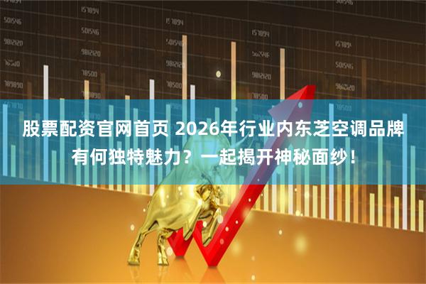 股票配资官网首页 2026年行业内东芝空调品牌有何独特魅力？一起揭开神秘面纱！